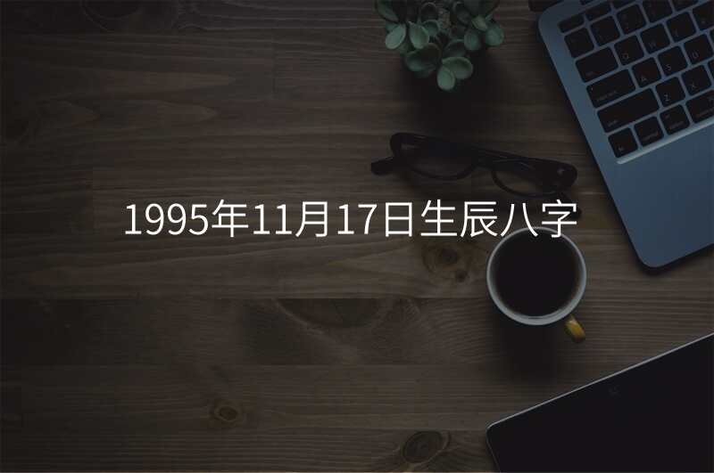 1995年11月17日生辰八字