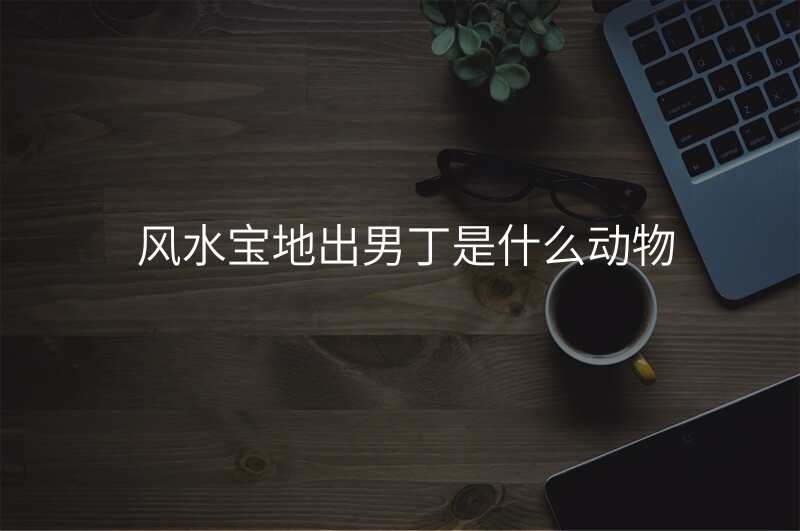 风水宝地出男丁是什么动物