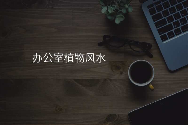 办公室植物风水