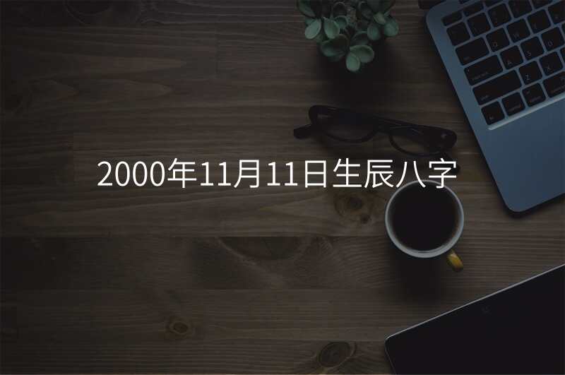 2000年11月11日生辰八字
