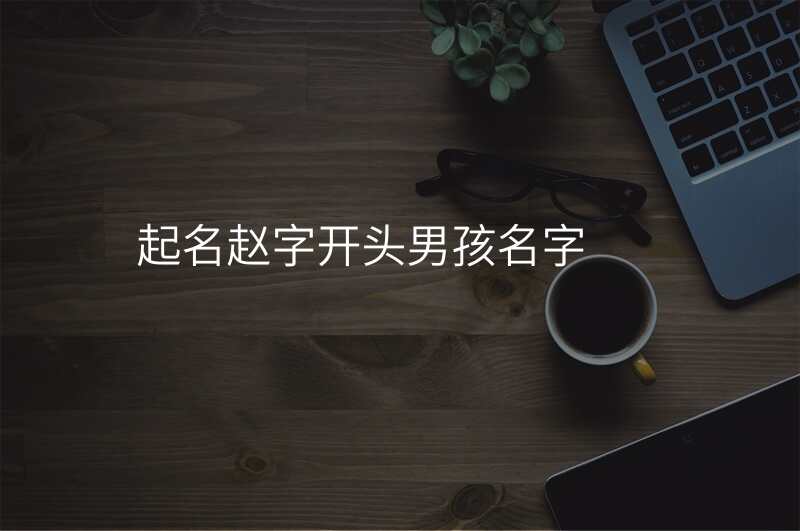 起名赵字开头男孩名字