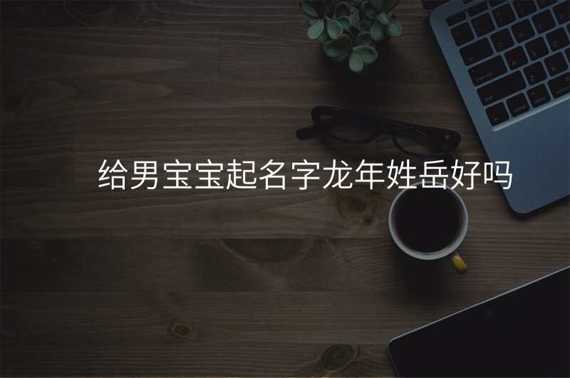 给男宝宝起名字龙年姓岳好吗