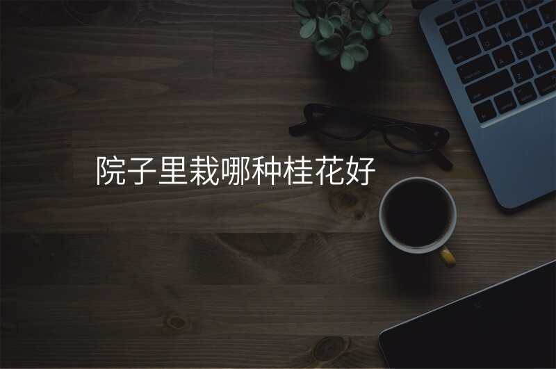 院子里栽哪种桂花好