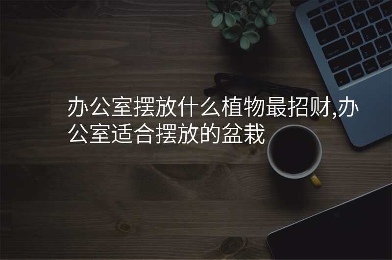 办公室摆放什么植物最招财,办公室适合摆放的盆栽