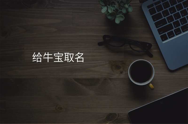 给牛宝取名