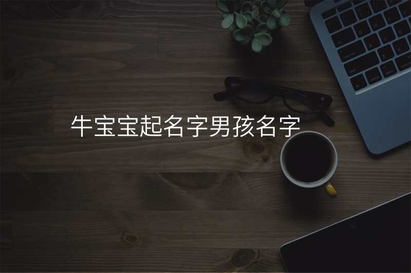 牛宝宝起名字男孩名字