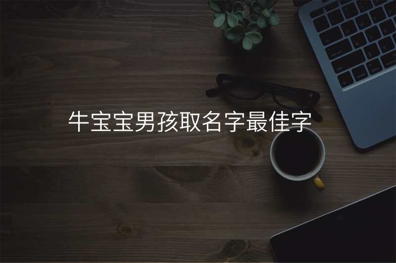 牛宝宝男孩取名字最佳字