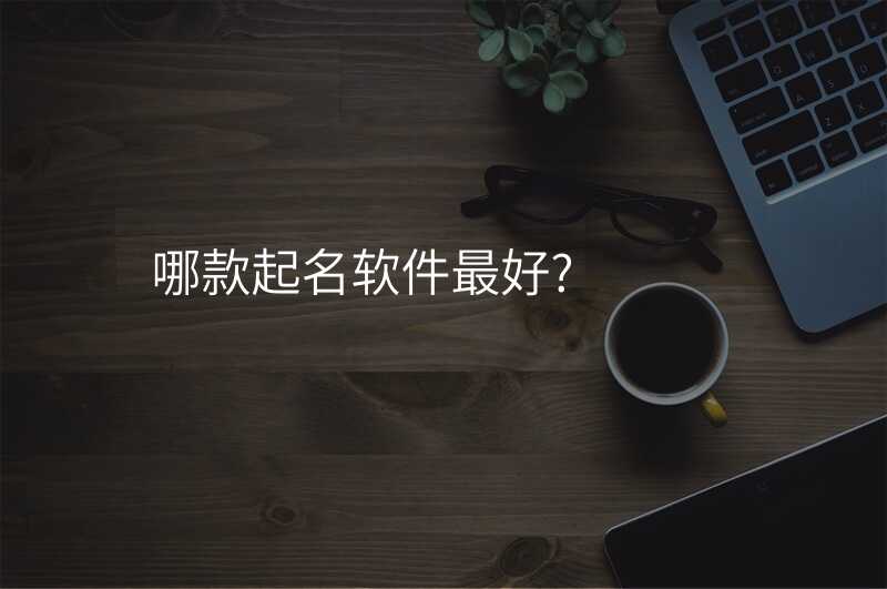 哪款起名软件最好?