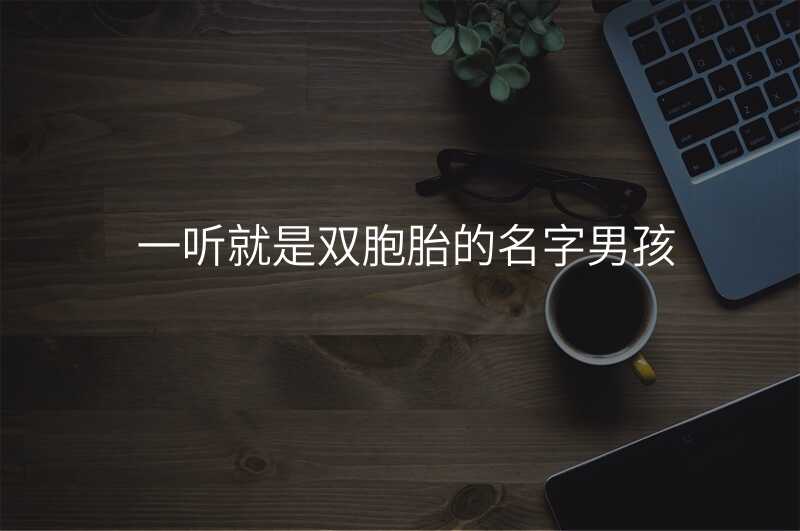 一听就是双胞胎的名字男孩