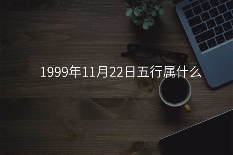 1999年11月22日五行属什么