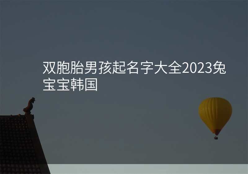双胞胎男孩起名字大全2023兔宝宝韩国
