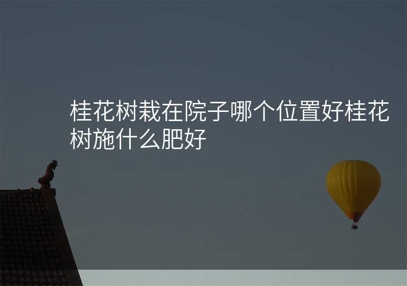 桂花树栽在院子哪个位置好桂花树施什么肥好