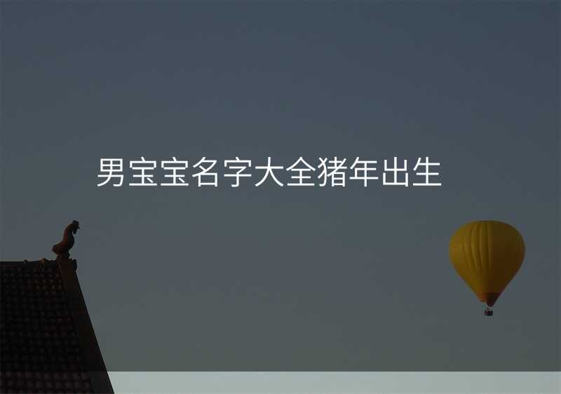 男宝宝名字大全猪年出生