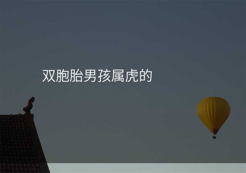 双胞胎男孩属虎的