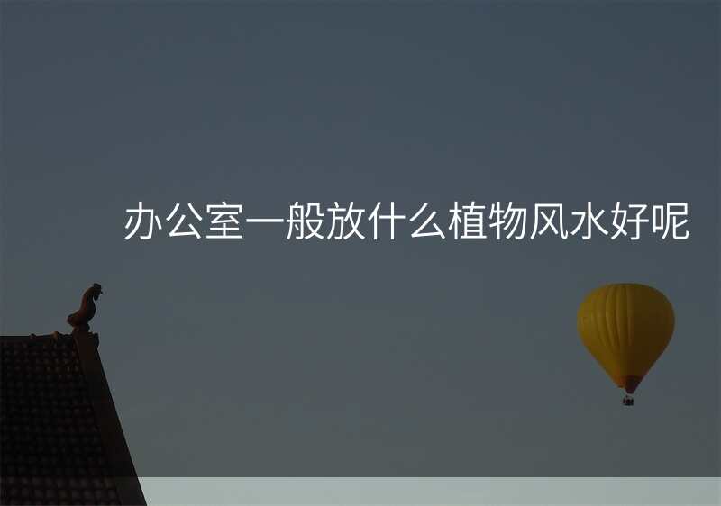 办公室一般放什么植物风水好呢