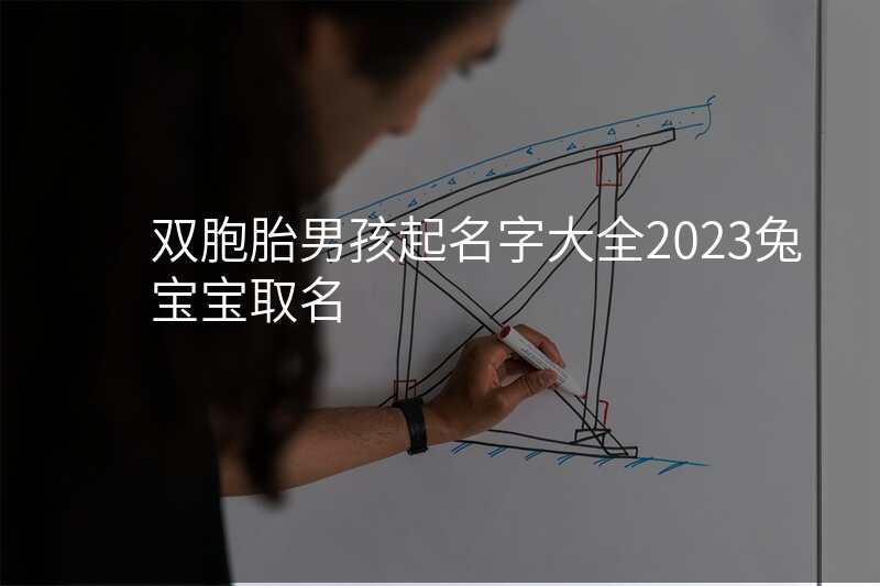 双胞胎男孩起名字大全2023兔宝宝取名