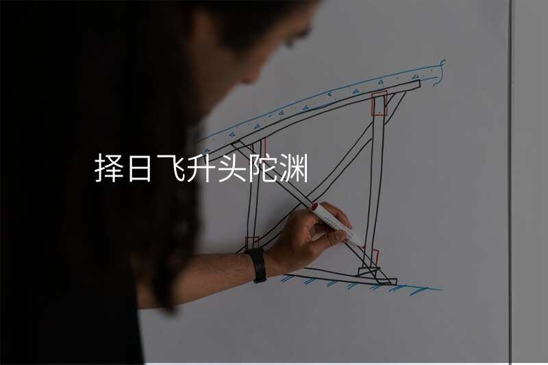 择日飞升头陀渊
