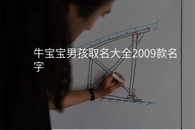 牛宝宝男孩取名大全2009款名字