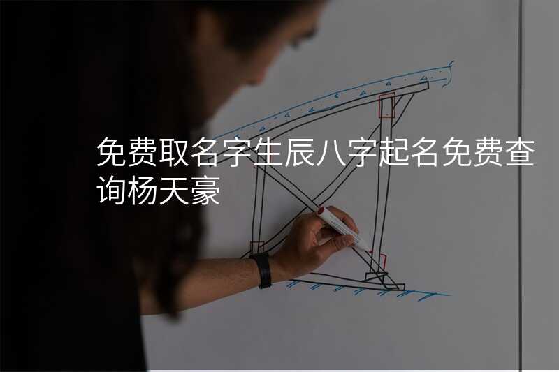 免费取名字生辰八字起名免费查询杨天豪