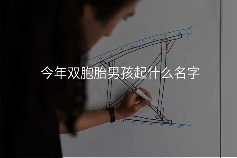 今年双胞胎男孩起什么名字