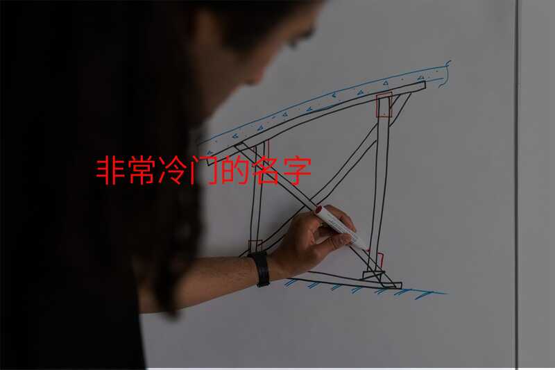 非常冷门的名字