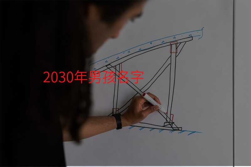 2030年男孩名字