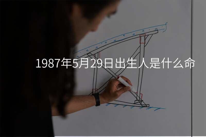 1987年5月29日出生人是什么命