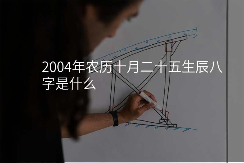 2004年农历十月二十五生辰八字是什么