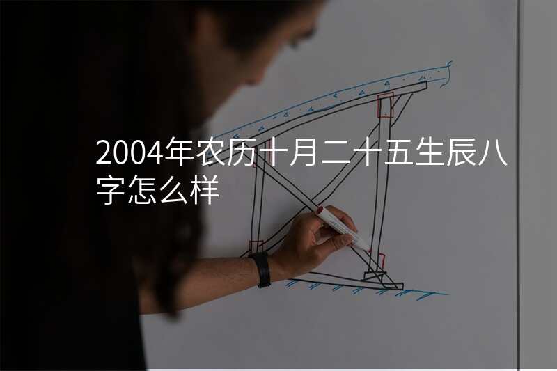 2004年农历十月二十五生辰八字怎么样