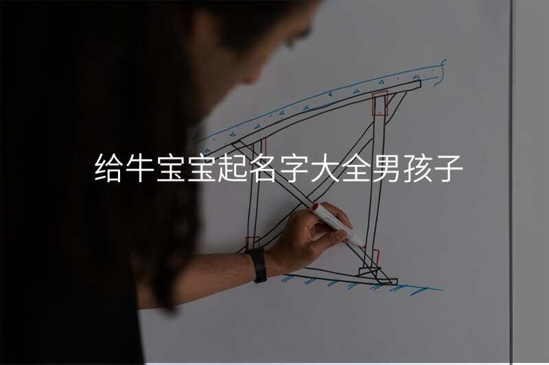 给牛宝宝起名字大全男孩子
