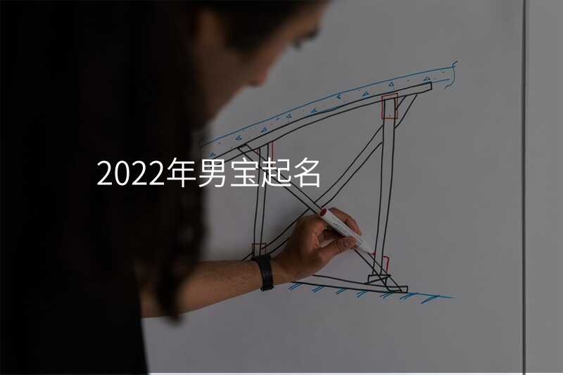 2022年男宝起名