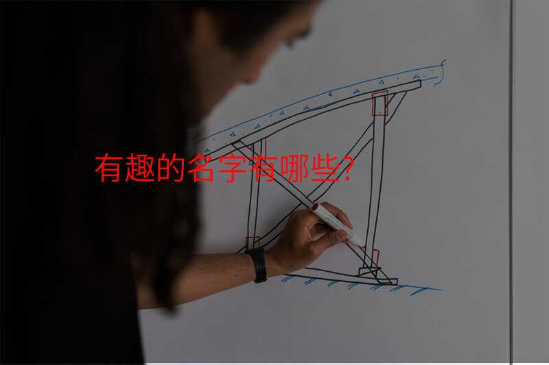 有趣的名字有哪些?