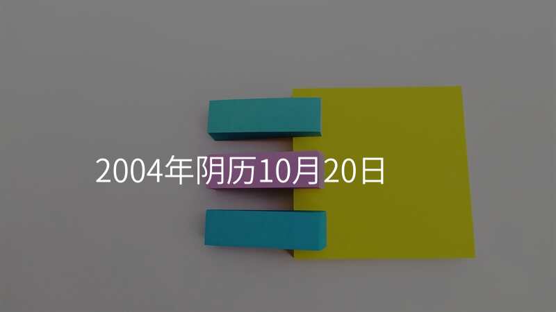 2004年阴历10月20日