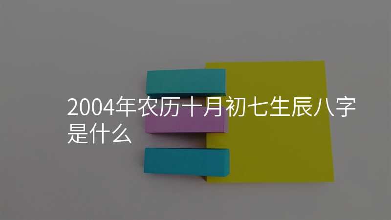 2004年农历十月初七生辰八字是什么