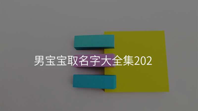 男宝宝取名字大全集202