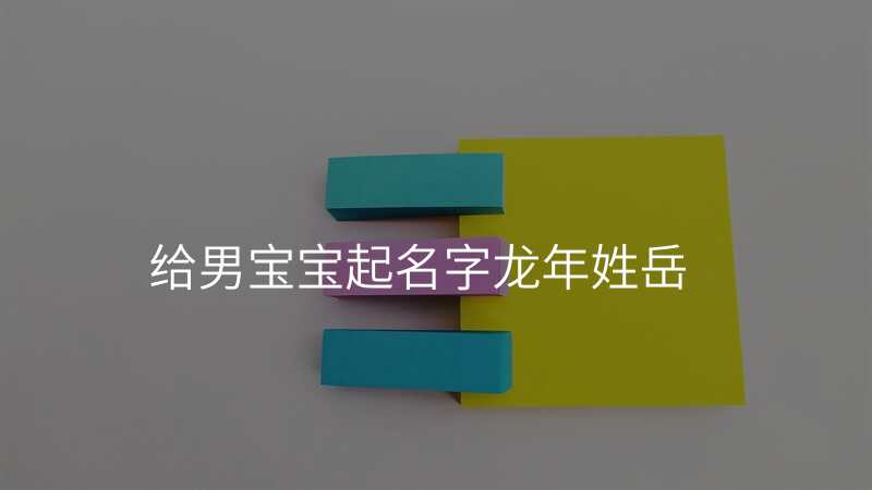 给男宝宝起名字龙年姓岳