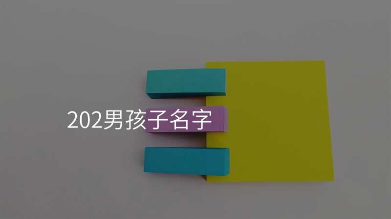 202男孩子名字