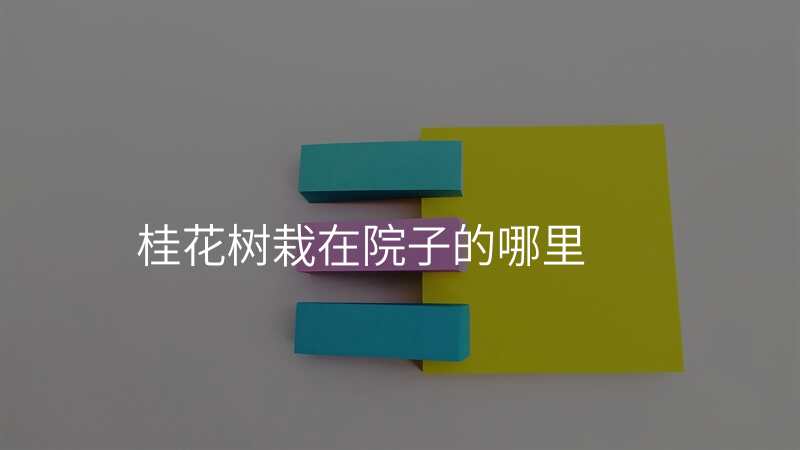 桂花树栽在院子的哪里