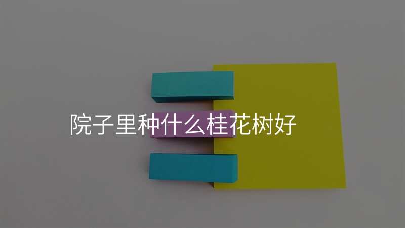 院子里种什么桂花树好