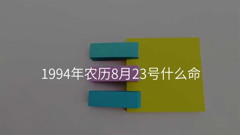 1994年农历8月23号什么命