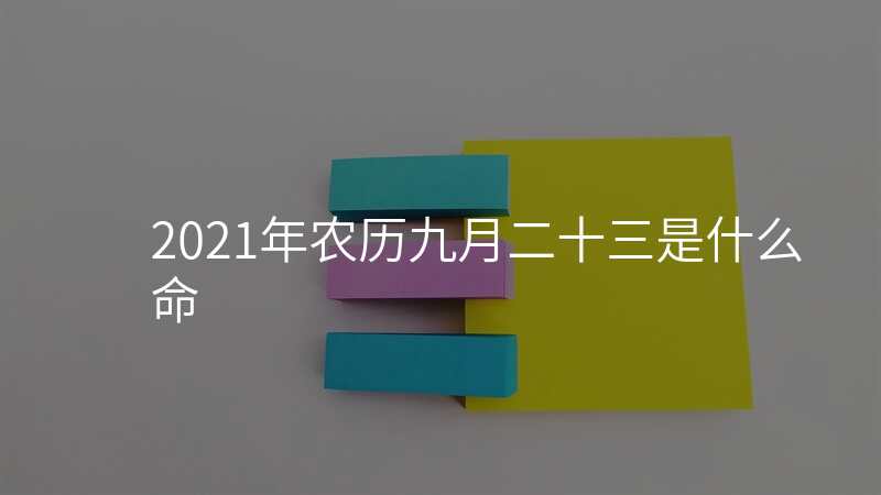 2021年农历九月二十三是什么命