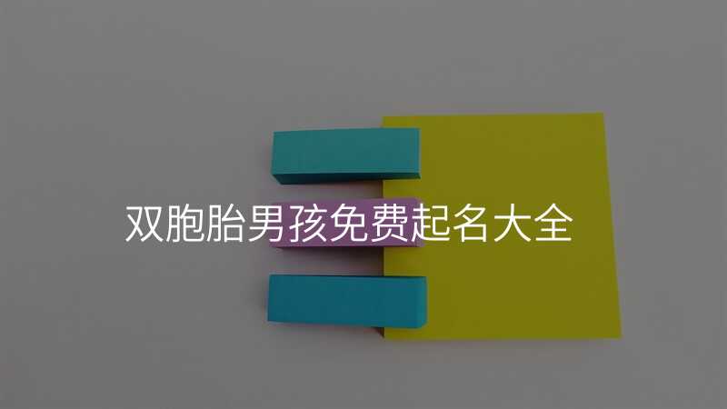 双胞胎男孩免费起名大全