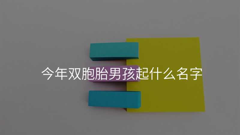 今年双胞胎男孩起什么名字