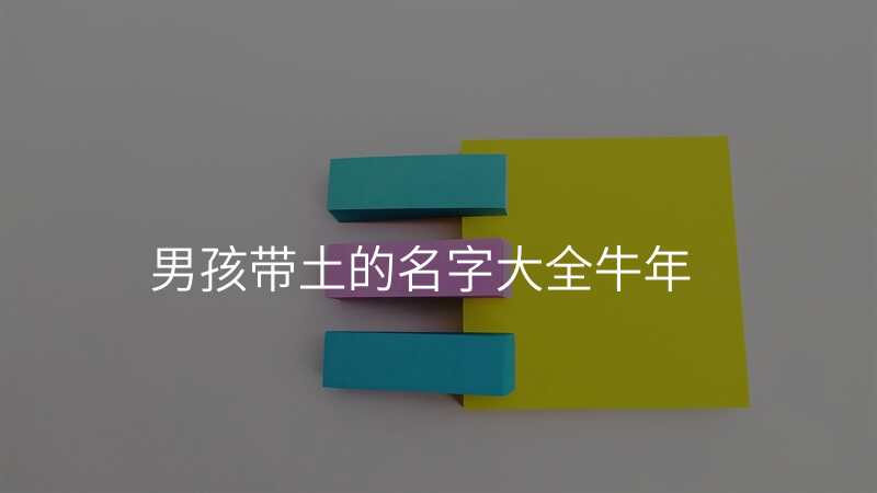 男孩带土的名字大全牛年