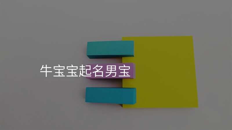 牛宝宝起名男宝