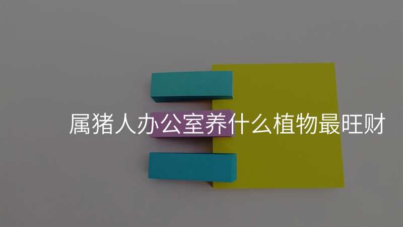 属猪人办公室养什么植物最旺财