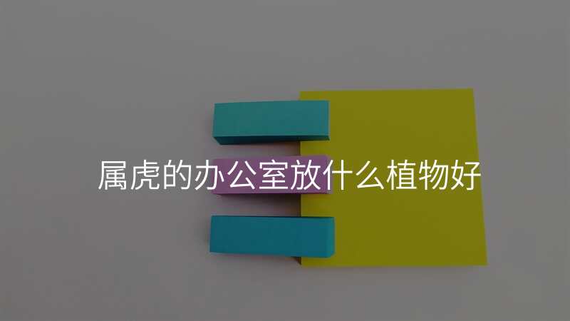 属虎的办公室放什么植物好