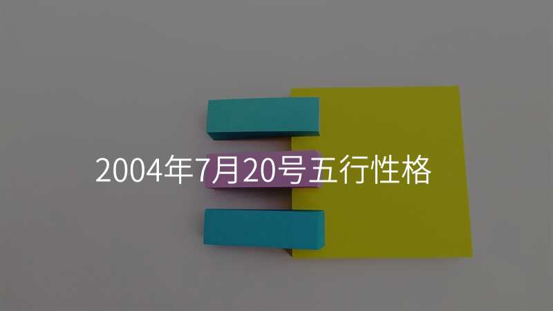 2004年7月20号五行性格
