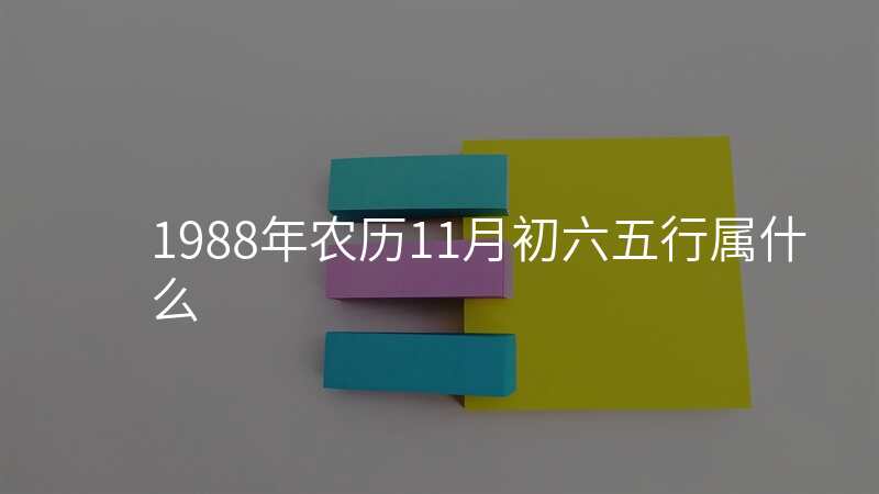 1988年农历11月初六五行属什么