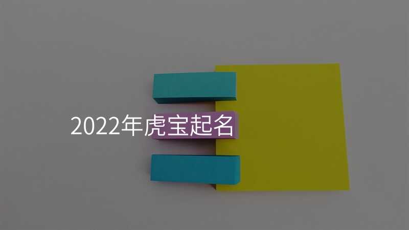 2022年虎宝起名